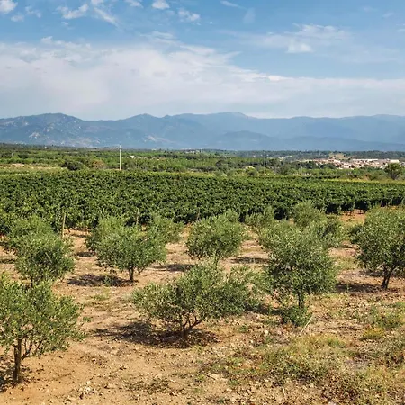 Casa Oliver 度假居 Capmany