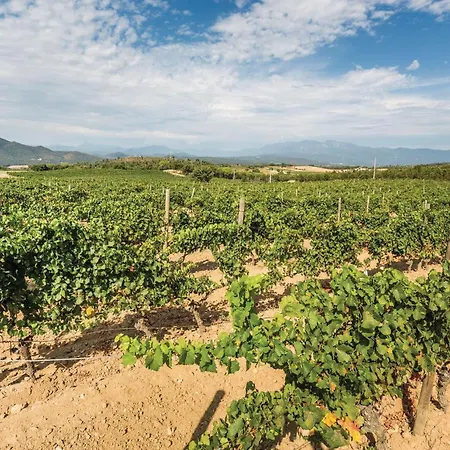 度假居 Casa Oliver Capmany